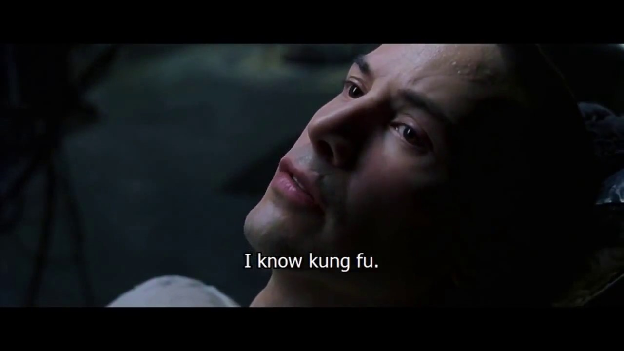 Neo from Matrix learning Kung Fu